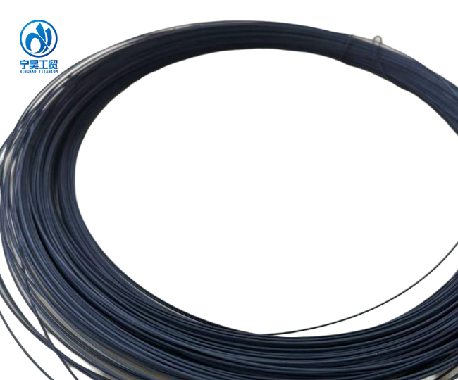 Titanium Electrodes for Seawater Electro Chlorination Titanium Electrodes for Seawater Electro Chlorination