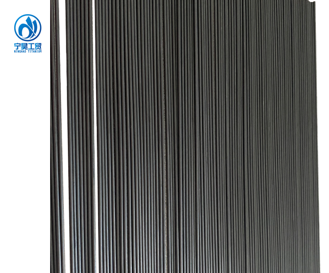 Titanium Electrodes for Seawater Electro Chlorination Titanium Electrodes for Seawater Electro Chlorination