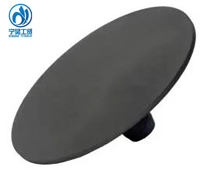 Titanium Electrodes for Seawater Electro Chlorination Titanium Electrodes for Seawater Electro Chlorination